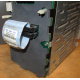 HP 365664-001 кабель SCSI для корзины 373108-001 / 359719-001 HP ML370G4 (Ивантеевка)