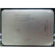 AMD Opteron 6128 OS6128WKT8EGO (Ивантеевка)
