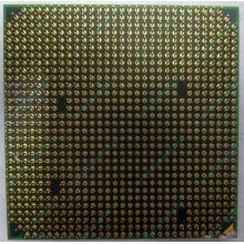 Процессор AMD Athlon 64300+ (1.8GHz) ADA3000IAA4CN s.AM2 (Ивантеевка)