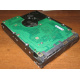 Жесткий диск 300Gb 15k Seagate Cheetach ST3300656SS 15K.6 Dell 9CH066-050 6G SAS (Ивантеевка)